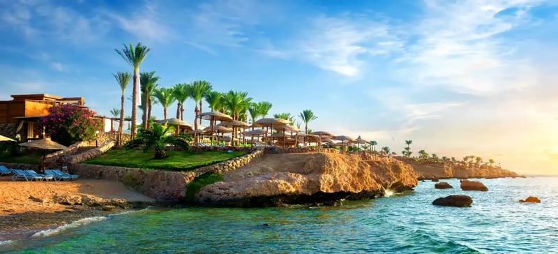Free Day – Leisure Day in Cairo
