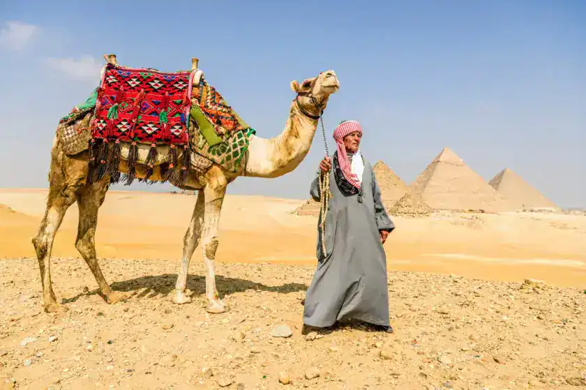 6 Days Cairo, Luxor, Aswan & Abu Simbel Tour Package 